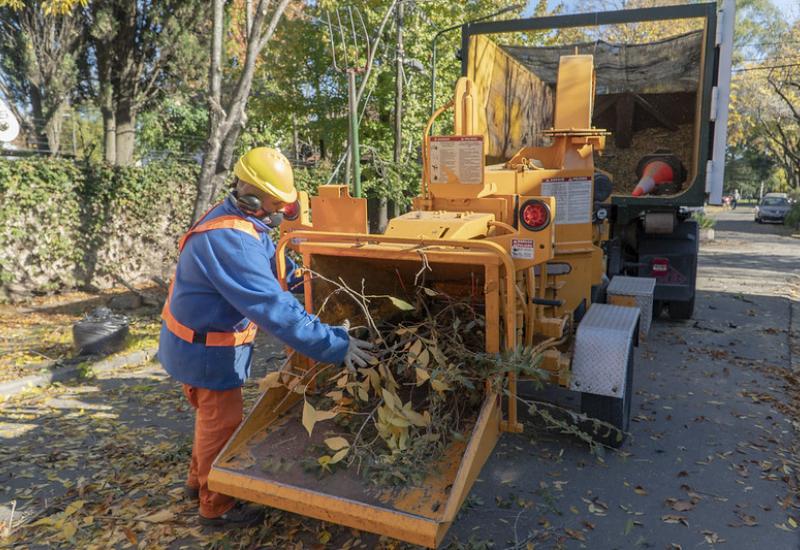 PLAN DE PODA 2021 SAN ISIDRO municipio de san isidro, poda, espacio publico, arboles, permiso, sustentable, sustentabilidad, hojas, otoño