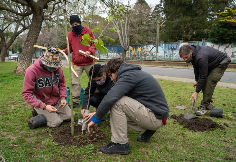 Plantación de árboles y arbustos nativos en corredor ecológico Plantación de árboles y arbustos nativos en corredor ecológico