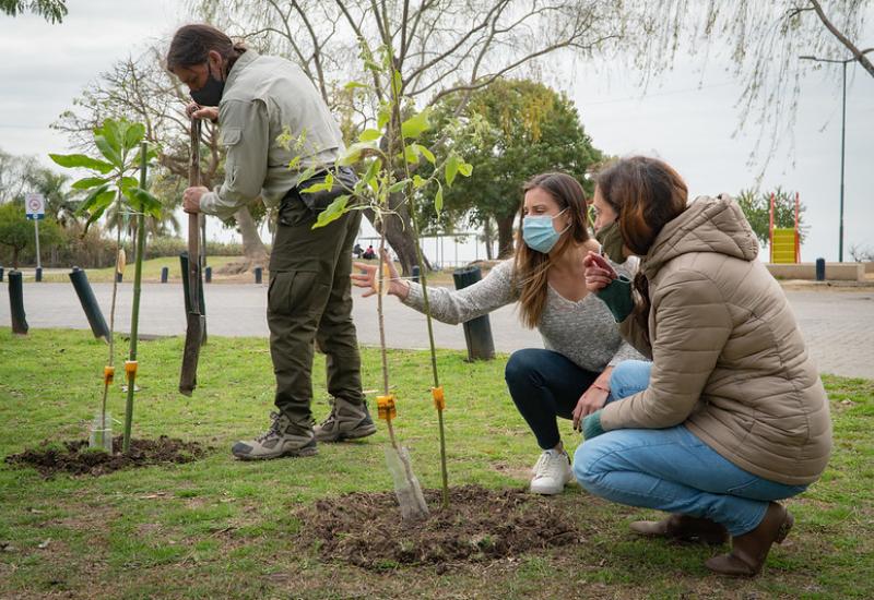 Plantación de árboles y arbustos nativos en corredor ecológico Plantación de árboles y arbustos nativos en corredor ecológico