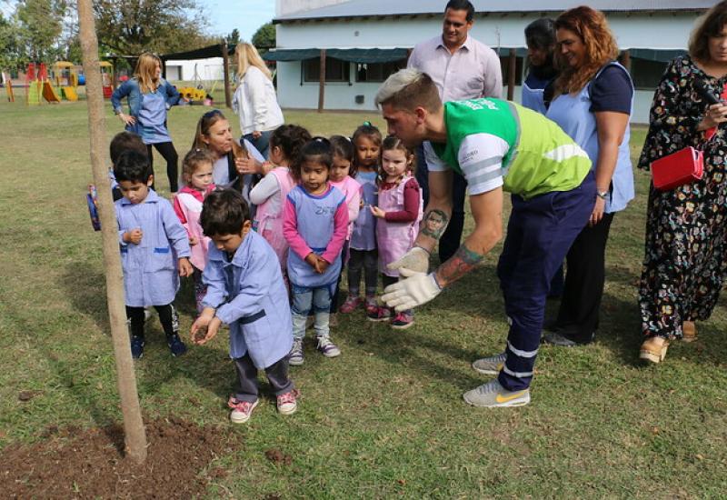 PLANTACIÓN DE ÁRBOLES PLANTACIÓN DE ÁRBOLES, MUNICIPIO DE SAN ISIDRO