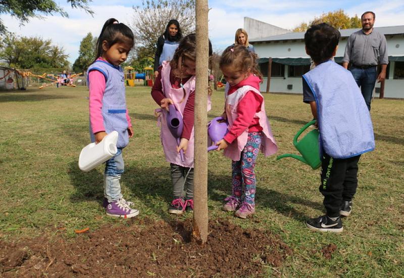PLANTACIÓN DE ÁRBOLES PLANTACIÓN DE ÁRBOLES, MUNICIPIO DE SAN ISIDRO
