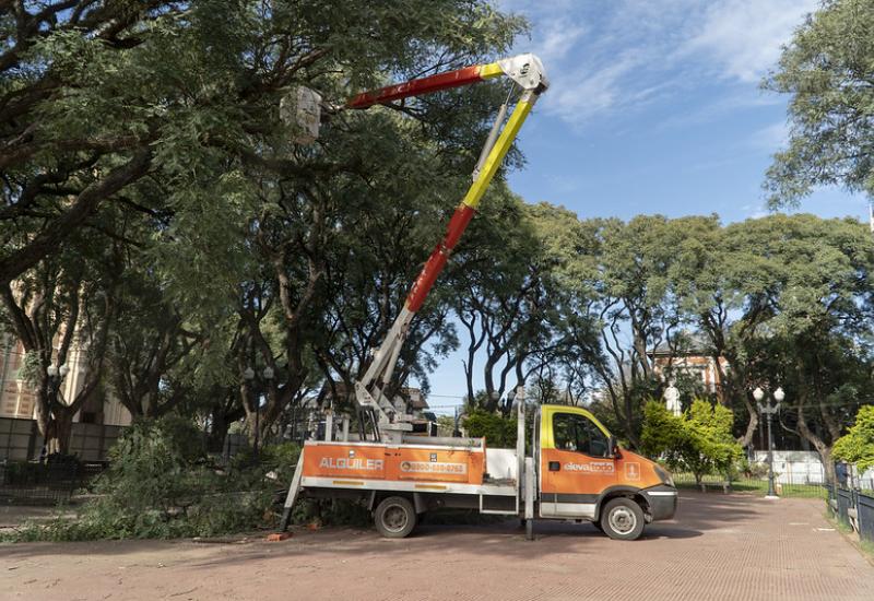 municipio de san isidro, plaza mitre, espacio publico, plaza, casco historico, arboles, arbol