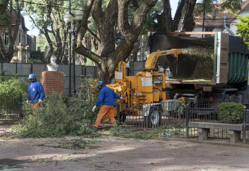 municipio de san isidro, plaza mitre, espacio publico, plaza, casco historico, arboles, arbol
