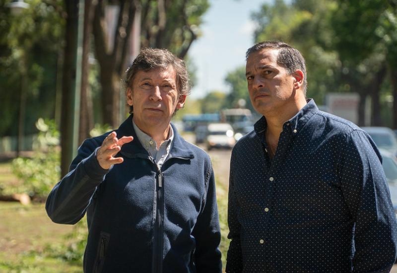 municipio de san isidro, poda, espacio publico, arboles, permiso, sustentable, sustentabilidad, hojas, otoño