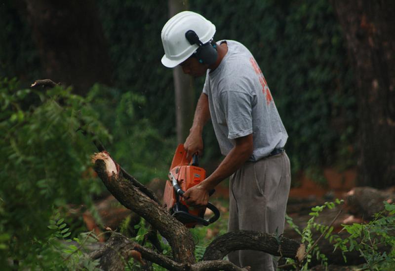 PODAS TIPAS AV LIBERTADOR