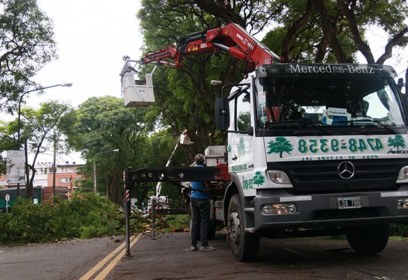 PODAS TIPAS AV LIBERTADOR