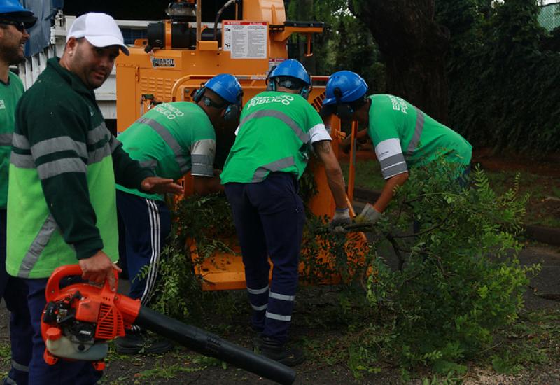 PODAS TIPAS AV LIBERTADOR