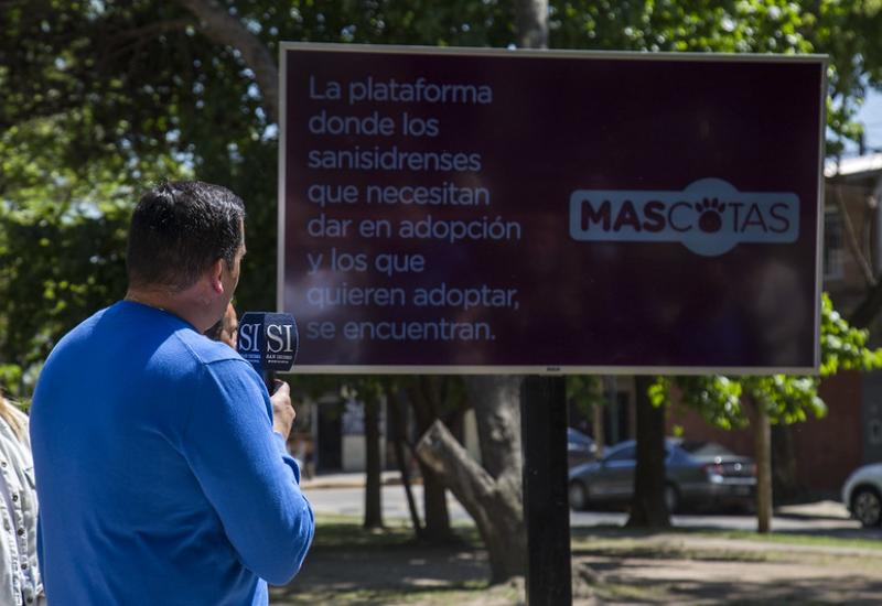 PORTAL MUNICIPAL DE ADOPCIÓN DE MASCOTAS