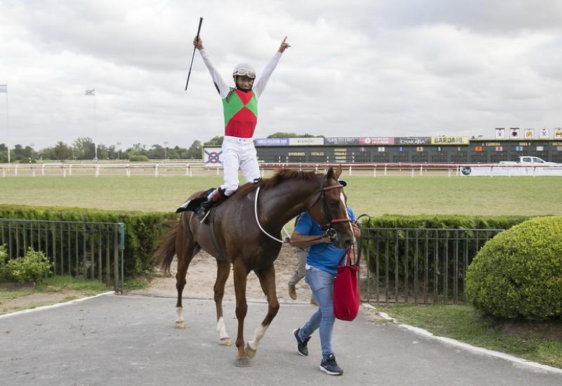 municipio de san isidro, turf, caballos, hipodromo de san isidro, carrera, carreras, caballo