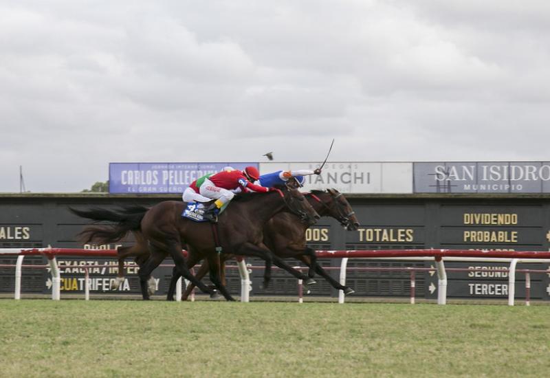 municipio de san isidro, turf, caballos, hipodromo de san isidro, carrera, carreras, caballo