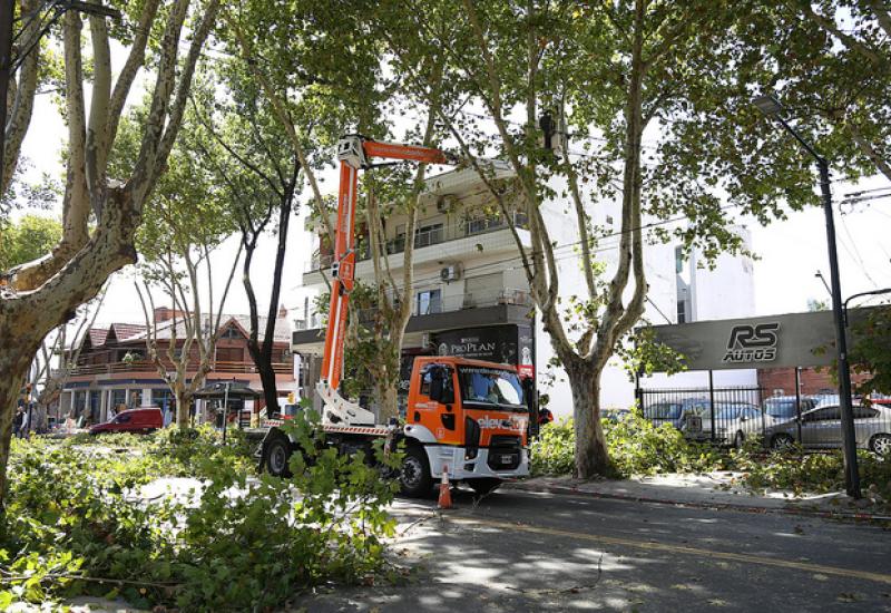 RALEO PLÁTANOS, Municipio de san isidro