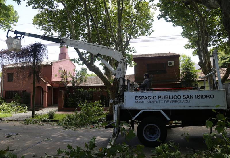 SACAN RAMAS DE ÁRBOLES QUE SE METEN EN CASAS Y DIFICULTAN LA ILUMINACIÓN SACAN RAMAS DE ÁRBOLES QUE SE METEN EN CASAS Y DIFICULTAN LA ILUMINACIÓN
