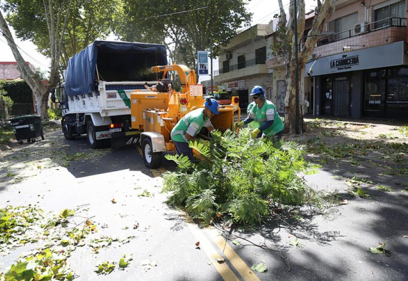 RALEO PLÁTANOS, MUNICIPIO DE SAN ISIDRO