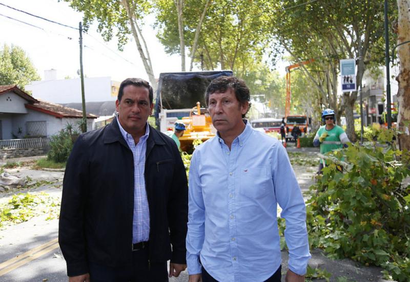 RALEO PLÁTANOS, MUNICIPIO DE SAN ISIDRO