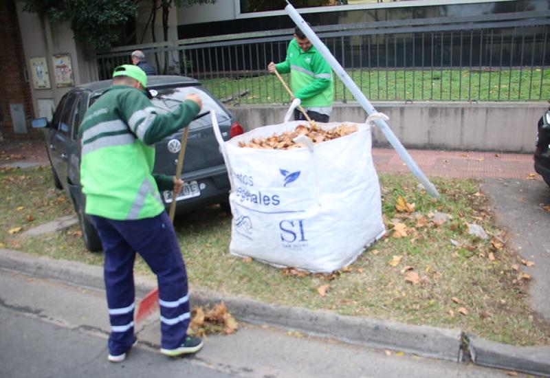 BOLSONES PARA RESIDUOS VEGETALES, MUNICIPIO DE SAN ISIDRO