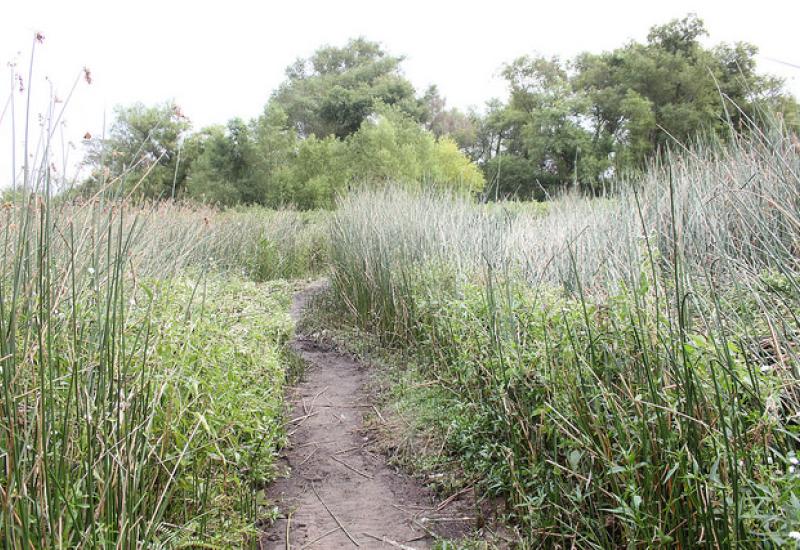 RIBERA NORTE SAN ISIDRO