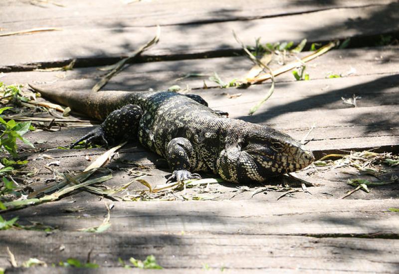 RIBERA NORTE SAN ISIDRO RIBERA NORTE SAN ISIDRO