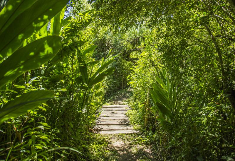 municipio de san isidro, ecologia, reserva natural municipal ribera norte, area protegida
