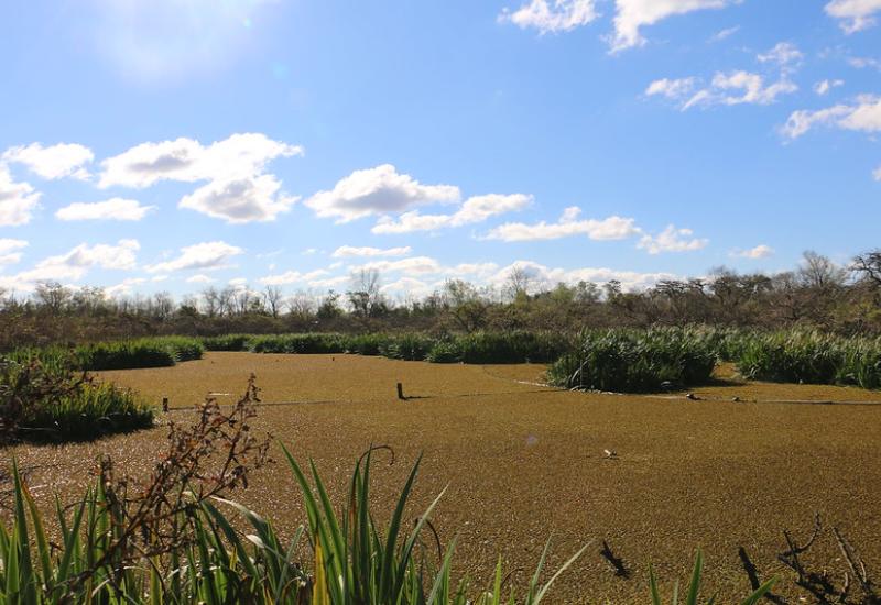municipio de san isidro, ecologia, reserva natural municipal ribera norte, area protegida