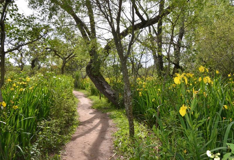 RESERVA NATURAL RIBERA NORTE municipio de san isidro, ecologia, reserva natural municipal ribera norte, area protegida
