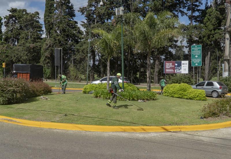 municipio de san isidro, espacio publico, rotonda, mantenimiento, renovacion, pasto, jardin, plantas, cesped, vereda
