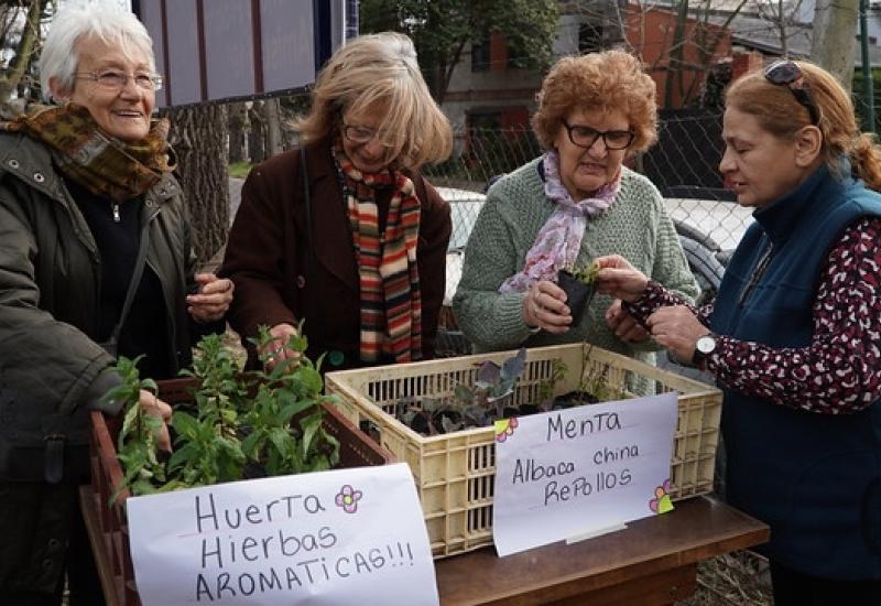 SEDE DE PUERTO LIBRE EN VILLA ADELINA