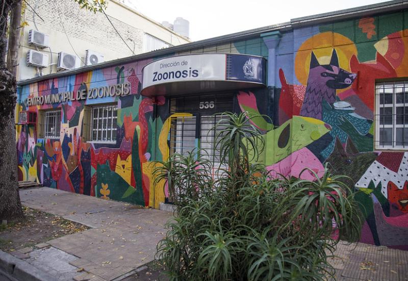 Renovacion Centro de Zoonosis San Isidro Municipio de San Isidro, Zoonosis, Renovación, Pintura, Colores, Mascotas, Perros, Gatos