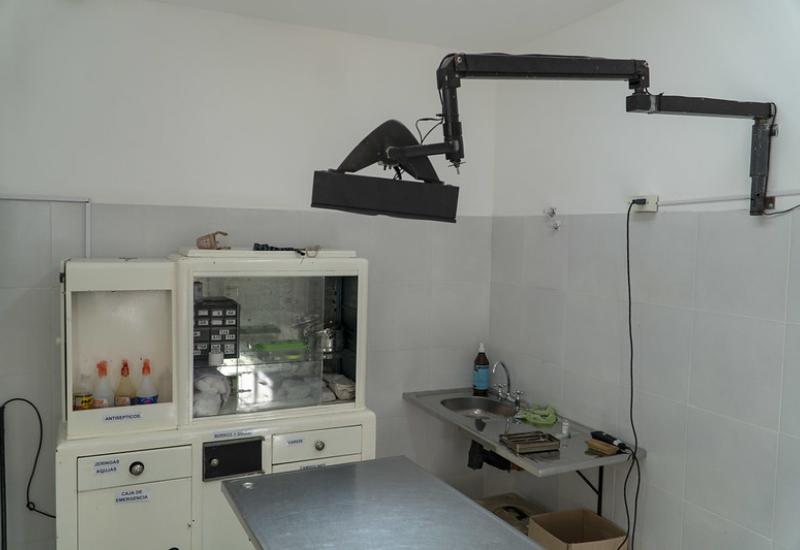 Municipio de San Isidro, Zoonosis, Renovación, Pintura, Colores, Mascotas, Perros, Gatos