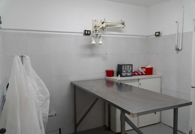 Municipio de San Isidro, Zoonosis, Renovación, Pintura, Colores, Mascotas, Perros, Gatos