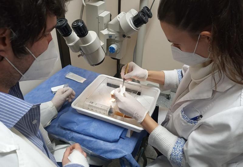 NUEVO EQUIPO SIMULADOR DE CIRUGÍAS OFTALMOLÓGICAS  