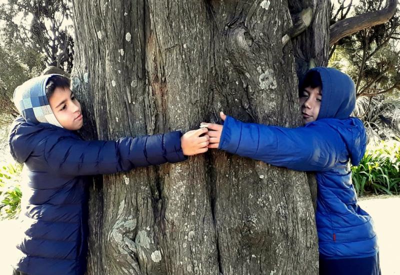TARDES VERDES Quinta los ombúes, municipalidad de san isidro