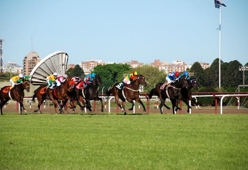 municipio de san isidro, turf, caballos, hipodromo de san isidro, carrera, carreras, caballo