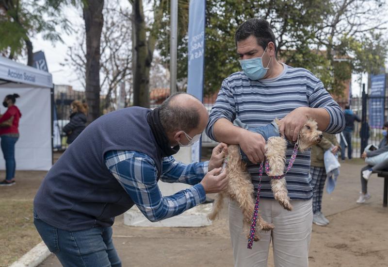 municipio de san isidro, zoonosis, mascotas mas felices, perros, gatos, desparasitacion, vacunacion, antirrabica, rabia, gratis, gustavo posse