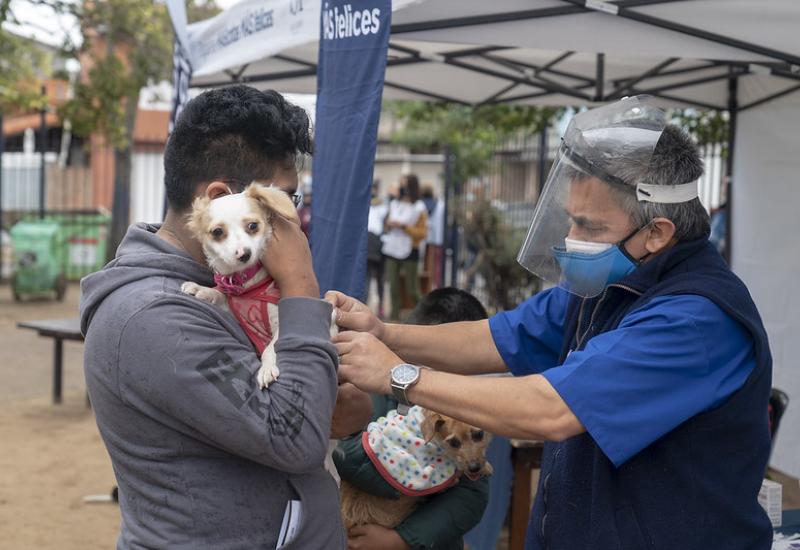 municipio de san isidro, zoonosis, mascotas mas felices, perros, gatos, desparasitacion, vacunacion, antirrabica, rabia, gratis, gustavo posse