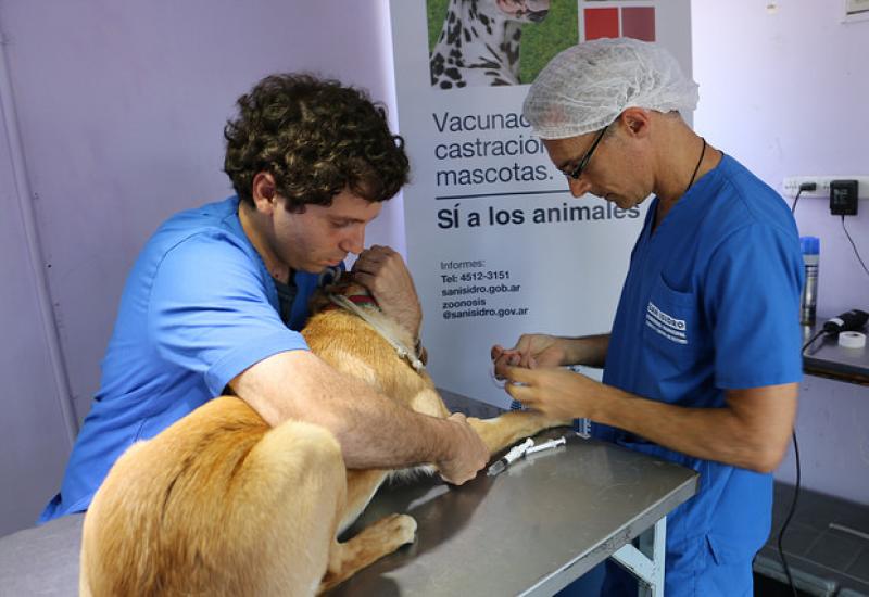 ZOONOSIS, MUNICIPIO DE SAN ISIDRO