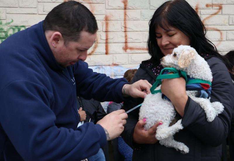 PUESTOS MÓVILES DE , SAN ISIDRO