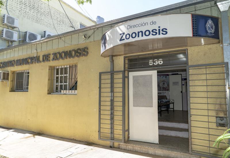 municipio de san isidro, zoonosis, castracion, mascotas, mascota, perro, gato, castrar, turnos, online