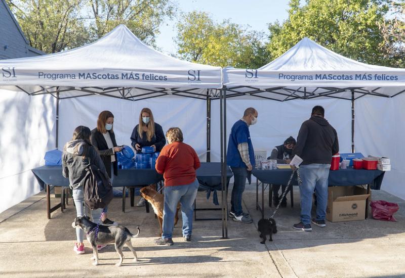 municipio de san isidro, zoonosis, castracion, mascotas, mascota, perro, gato, castrar, turnos, online
