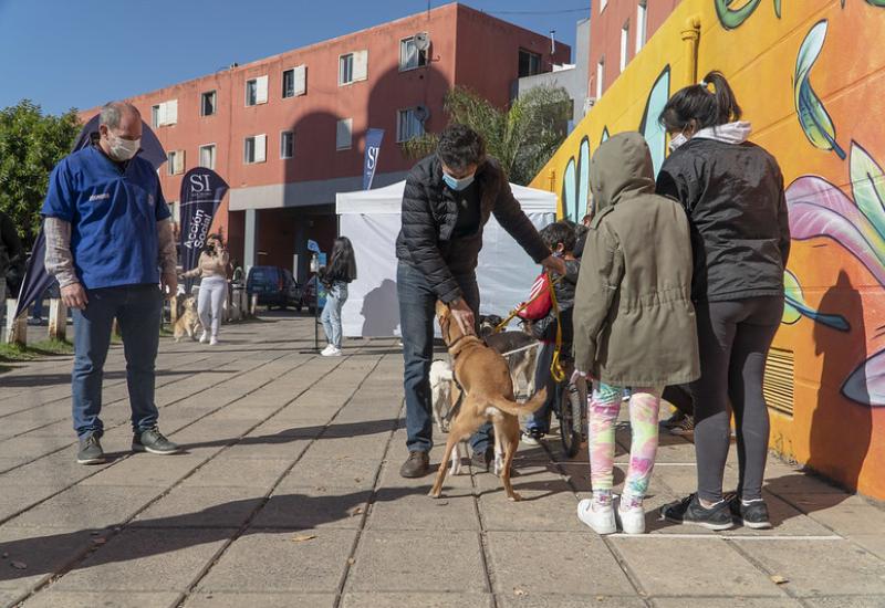 municipio de san isidro, zoonosis, mascotas mas felices, perros, gatos, desparasitacion, vacunacion, antirrabica, rabia, gratis, gustavo posse