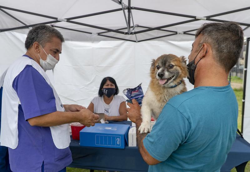 municipio de san isidro, zoonosis, castracion, mascotas, mascota, perro, gato, castrar, turnos, online