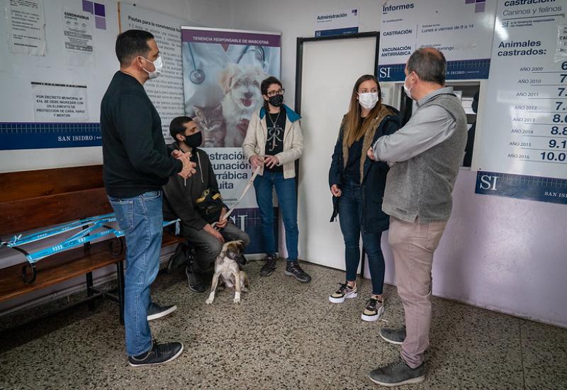 LA SALUD DE LAS MASCOTAS, zoonosis, salud, mascotas, bienestar, municipio