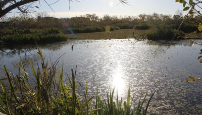RIBERA NORTE, MUNICIPIO DE SAN ISIDRO