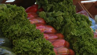 MERCADO EN TU BARRIO