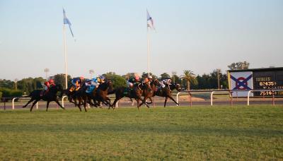 PREMIOS CARLOS PELLEGRINI