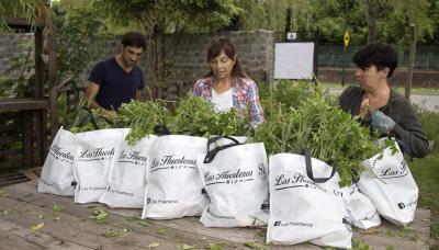 HUERTEROS DE PUERTO LIBRE, MUNICIPIO DE SAN ISIDRO