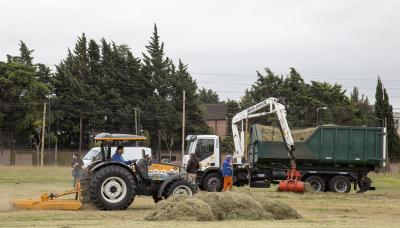 PREVENCIÓN DEL DENGUE