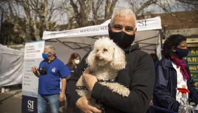 Mascotas más felices - zoonosis