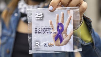 Eliminación de la Violencia contra la Mujer