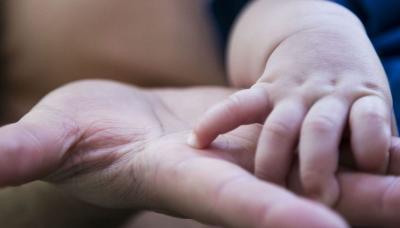 CICLO DE CHARLAS SOBRE ADOPCIÓN CICLO DE CHARLAS SOBRE ADOPCIÓN