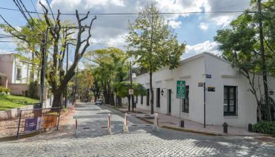 municipio de san isidro, adoquines, obras publicas, trabajos, mantenimiento, preserva